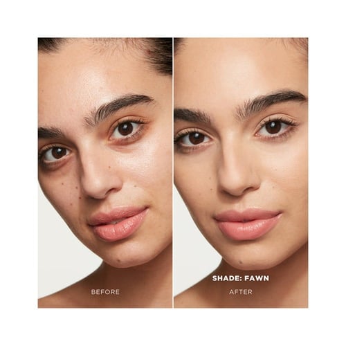 اورجلاس كونسيلر فانيش اير براش - سيبا