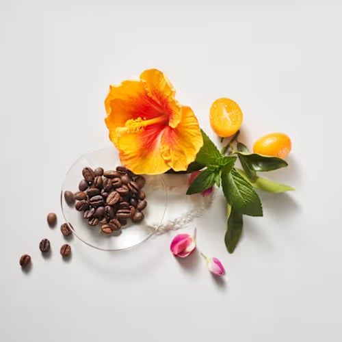 اهوهو الكافيين شامبو شعر - 500 مل