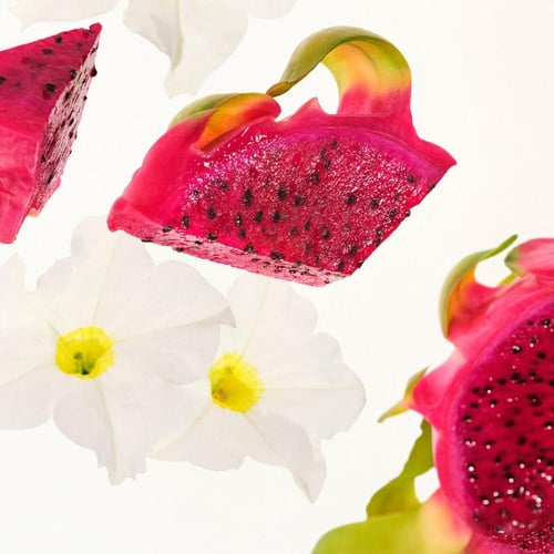 سول دي جانيرو مجموعة بيجا فلور بارتي قطعتين