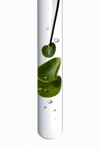 كيراستاس قناع كروما أبسولو غني ومضاد للمسامية، 200...