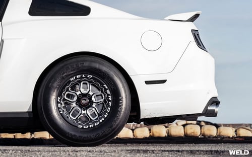 جنوط ويلد لاجونا بيدلوك