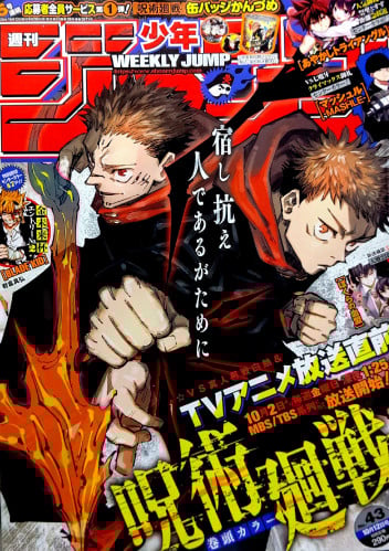 Jujutsu Kaisen 8