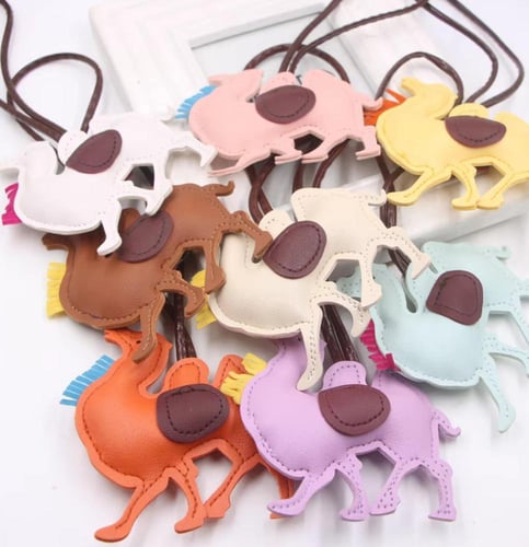 توزيعات الأبل- برتقالي اكسسوارات