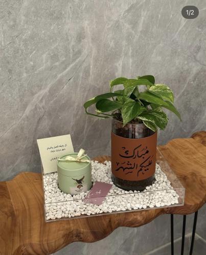 The pothos vase with chocolate