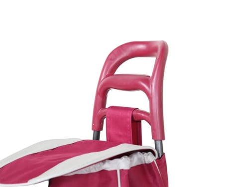 حقيبة تسوق بعجلات