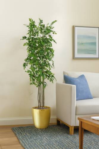 شجرة فيكس 4 فرع حوض بلاستيكي ارتفاع 200 سم