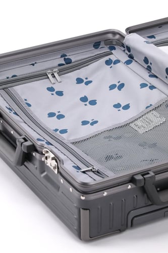 حقيبة سفر كابينة الطائرة مقاس 20 - رمادي غامق