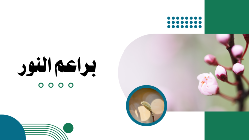 خطة وتقرير وأدوات تقويم براعم النور