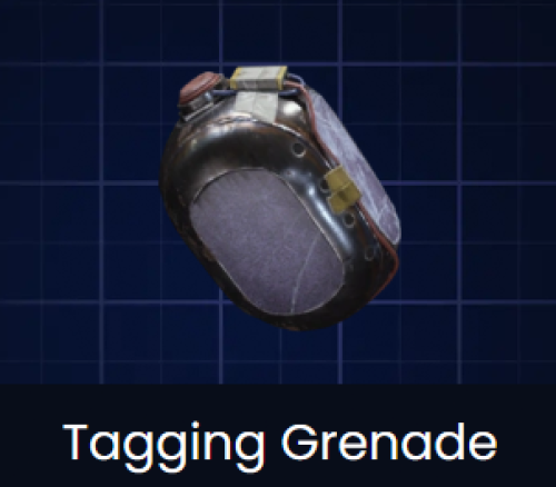 Tagging Grenade Blueprint