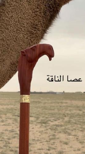 عصاء راس الناقه لون بني