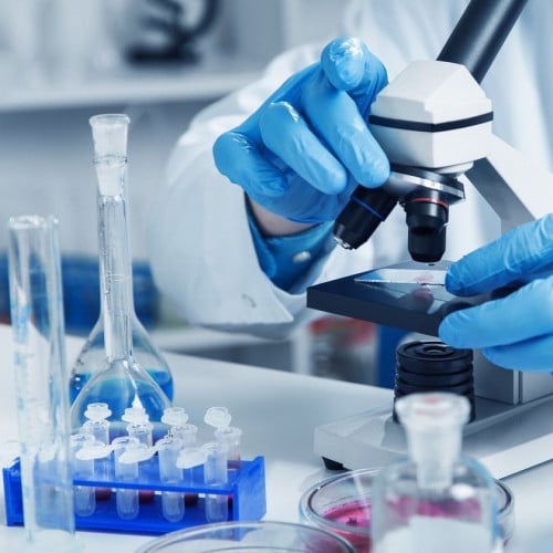 برنامج سلامات الذهبي