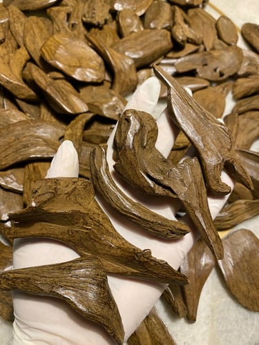 مروكي دبل سوبر شبية الطبيعي