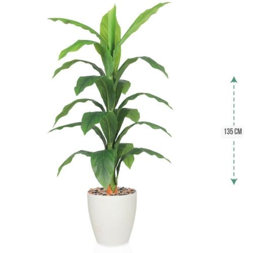 شجرة اخضر حوض بلاستيك