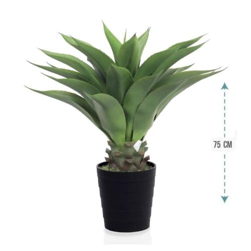 شجر صبار وسط 75 سم : 153