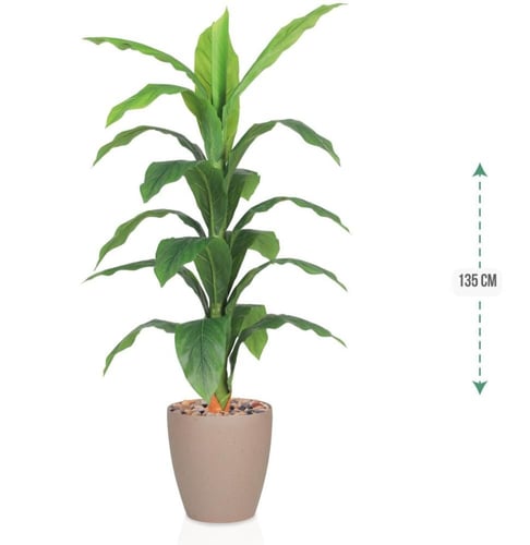 شجرة اخضر حوض بلاستيك