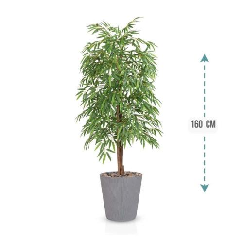 شجرة أوراق البابو لون فاتح حوض بلاستيك 210 سم : 34...