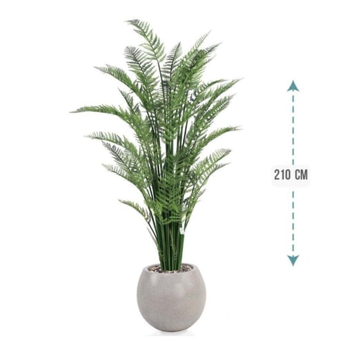 شجر نخل اريكا حوض فيبر 210 سم : 2720-514