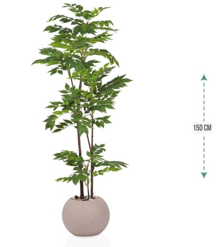 شجرة قيكس حوض بلاستيك 3فروع