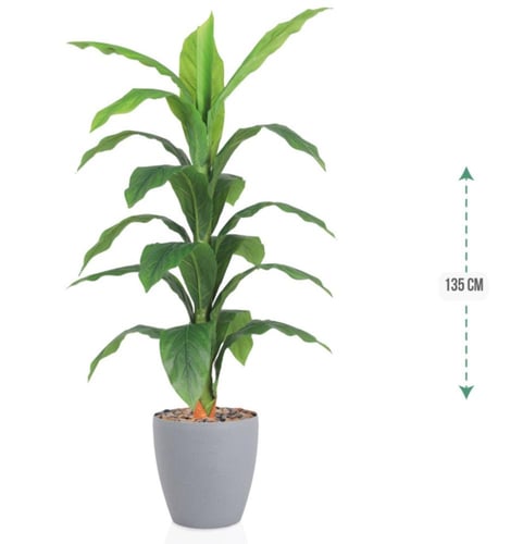 شجرة اخضر حوض بلاستيك