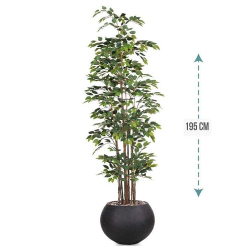 شجر فيكس 1 فرع حوض فيبر ارتفاع 195 سم : 3116-540