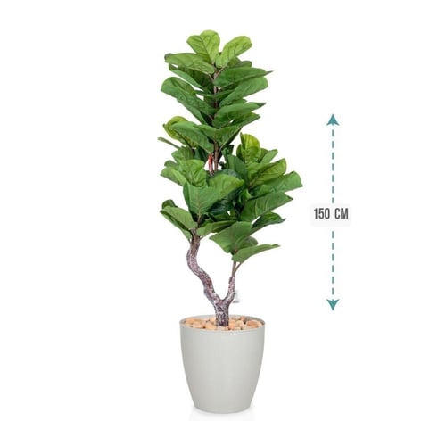 شجرتين بحوض بلاستيك بارتفاع 150 سم