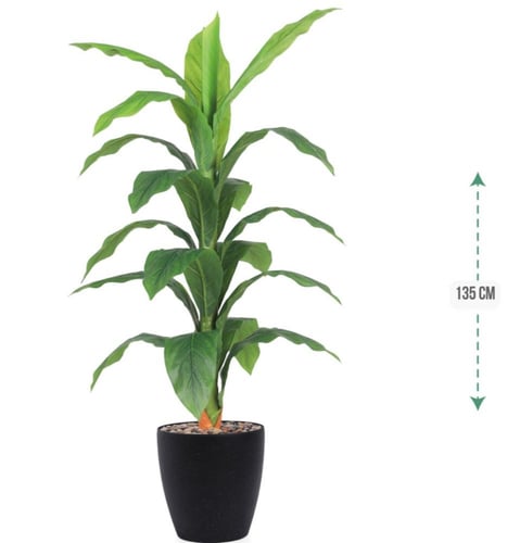 شجرة اخضر حوض بلاستيك