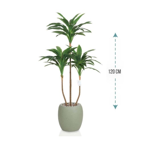 شجر أخضر 3 فرع حوض فيبر بيضاوي ارتفاع 120 سم : 201...