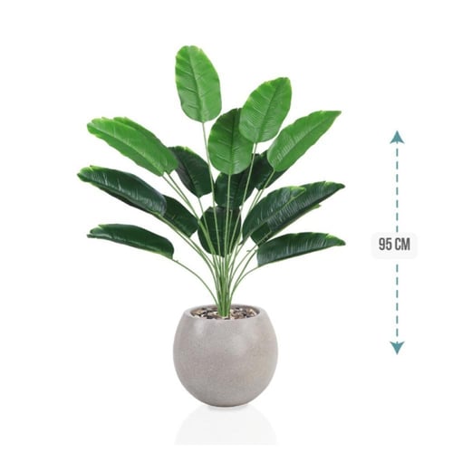 شتلة ورق موز 18 ورقة حوض فيبر 95 سم :78913-516