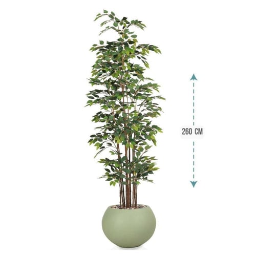 شجر فيكس حوض فيبر بيضاوي كبير ارتفاع 260 سم : 3118...