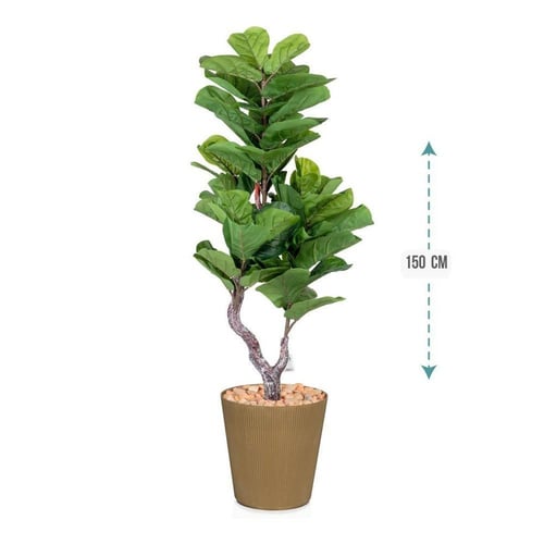 شجرتين بحوض بلاستيك بارتفاع 150 سم