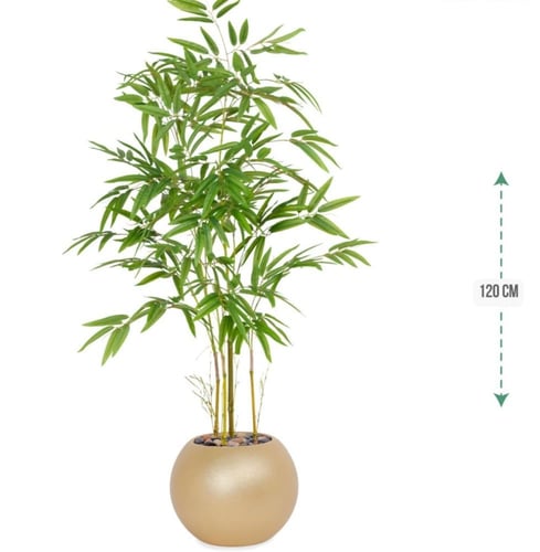 شجرة بابو حوض بلاستيك