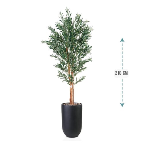 شتلة ورق قلب اخضر حوض فيبر 210 سم : 246-533