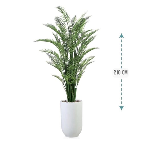 شجر نخل اريكا حوض فيبر 210 سم : 2720-533