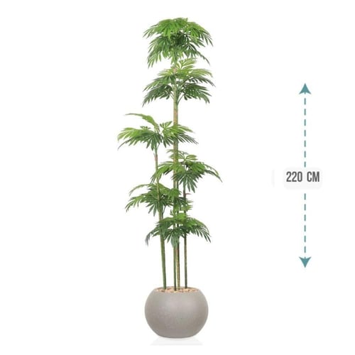 شجر نخل 6 فرع حوض فيبر 220سم : 575-528-3