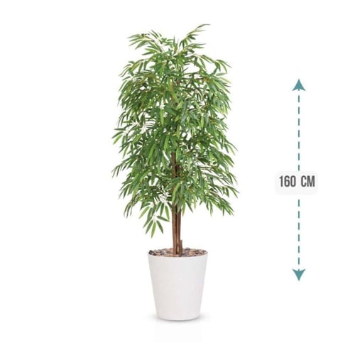 شجرة أوراق البابو لون فاتح حوض بلاستيك 210 سم : 34...