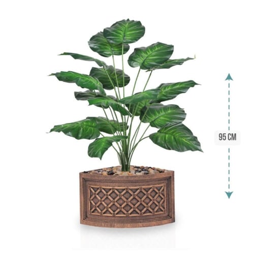 شتلة ورق قلب اخضر حوض بلاستيك زاوية 95 سم : 78915-...