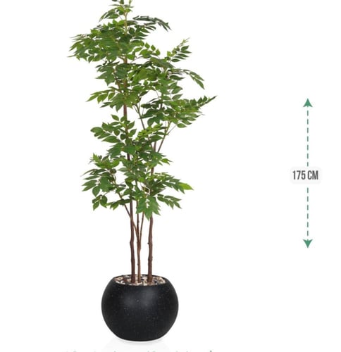 شجرة قيكس حوض بلاستيك 3فروع