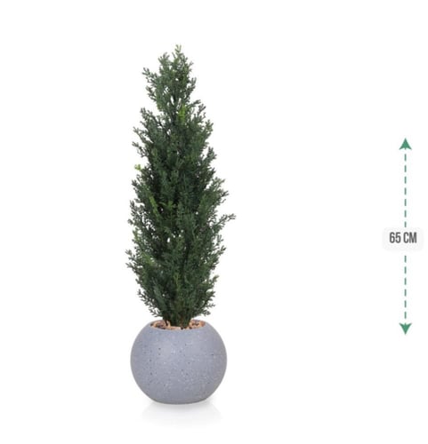 شنلة حوض بلاستيك