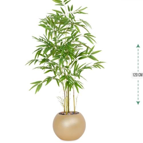 شجرة بابو حوض بلاستيك