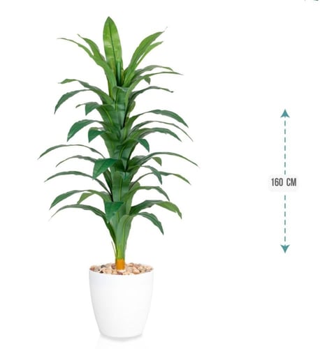 شجر شجر ذرة غامق مركن بلاستيك