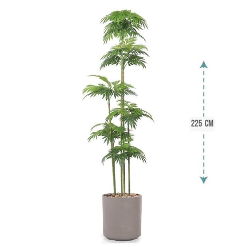 شجر نخل 6 فرع حوض بلاستيك 225سم : 575-2020GL-R