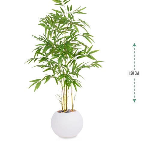 شجرة بابو حوض بلاستيك