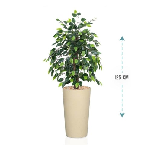 شجر فيكس بنجامينا 3 فرع ارتفاع 125سم: 7090-GT001R