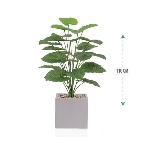 شجر صبار وسط مركن فيبر مربع ارتفاع 110 سم : 1139-5...