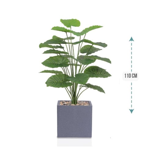 شجر صبار وسط مركن فيبر مربع ارتفاع 110 سم : 1139-5...