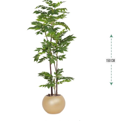 شجرة قيكس حوض بلاستيك 3فروع