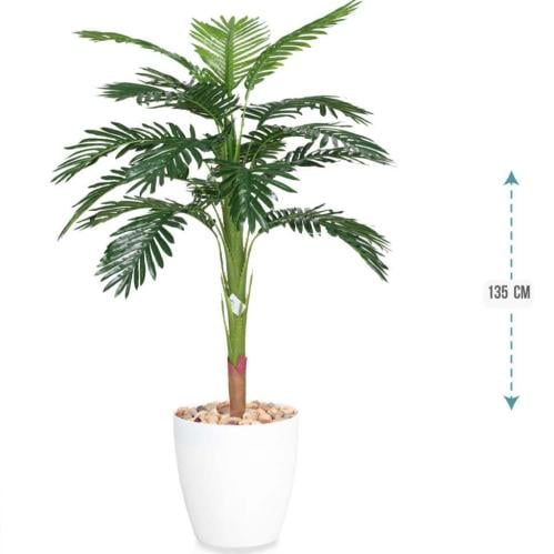 شجرنخل وسط حوض بلاستيك