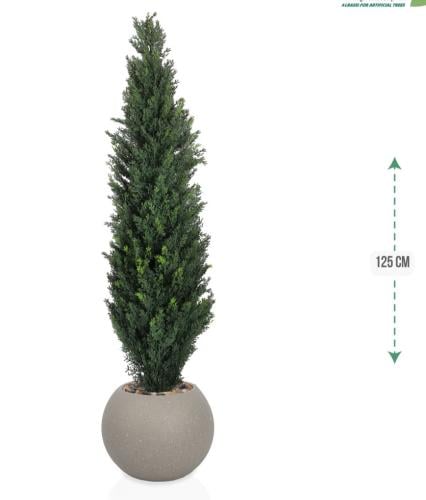 شجرة سرو حوض بلاستيك