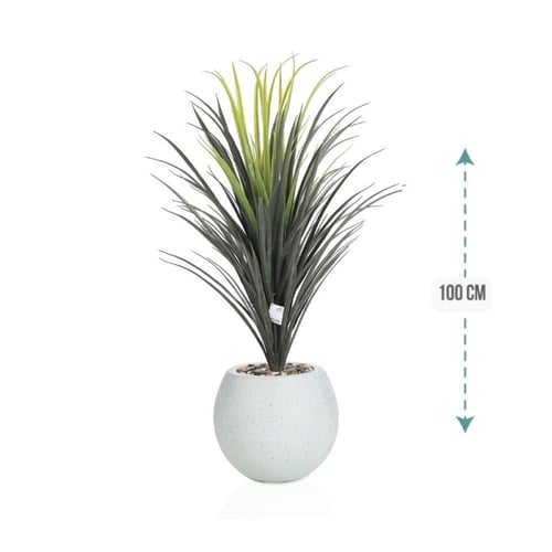 شجر صبار وسط مركن فيبر ارتفاع 100 سم : 1019-515