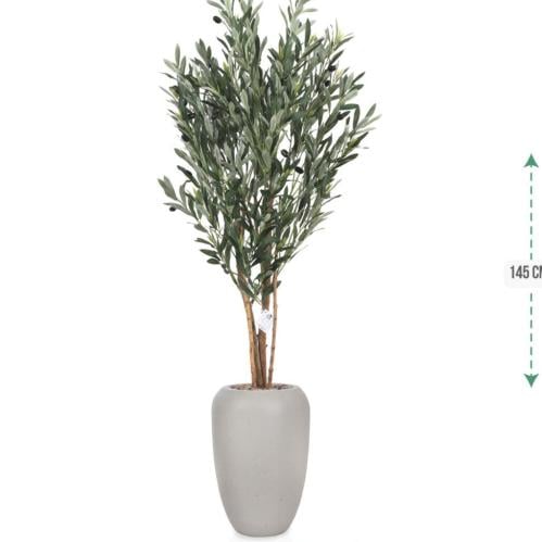 شجرة زيتون حوض فايبر